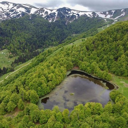 Rakovic Katun - Biogradska Gora Accomodation Villa Berane Luaran gambar