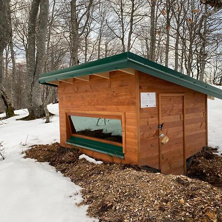 Rakovic Katun - Biogradska Gora Accomodation Villa Berane Luaran gambar