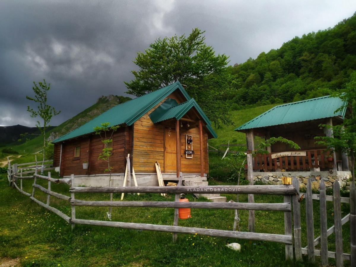 Rakovic Katun - Biogradska Gora Accomodation Villa Berane Luaran gambar