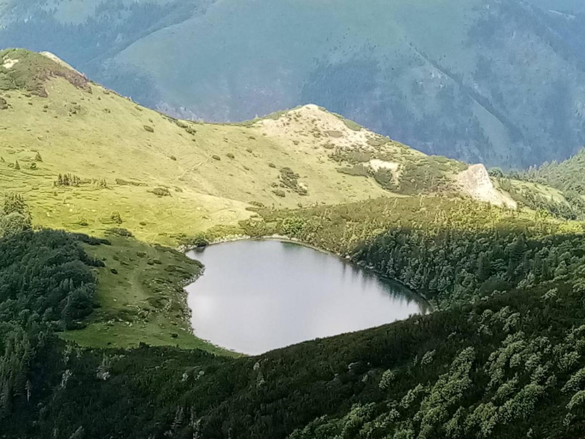 Rakovic Katun - Biogradska Gora Accomodation Villa Berane Luaran gambar