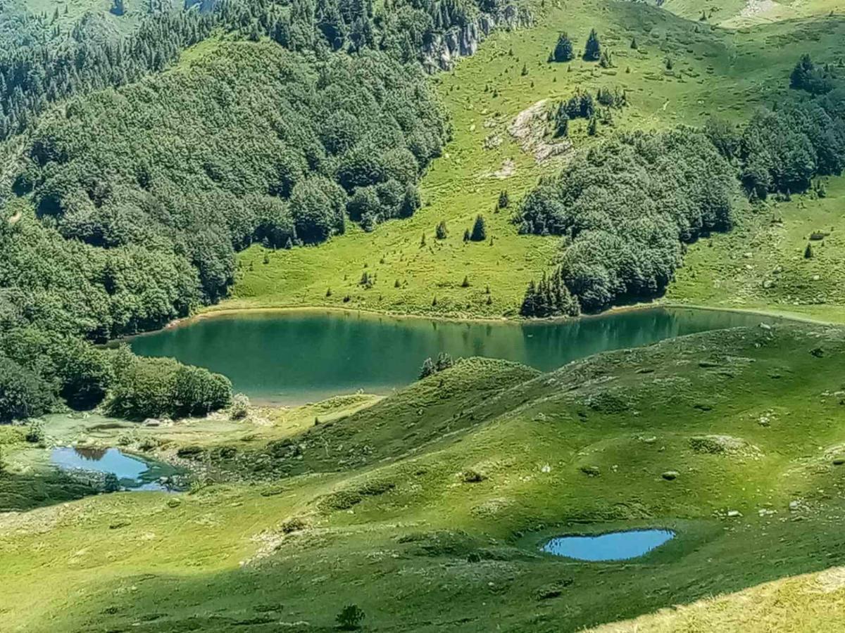 Rakovic Katun - Biogradska Gora Accomodation Villa Berane Luaran gambar