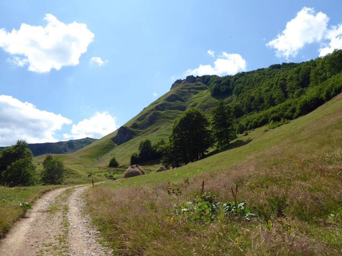 Rakovic Katun - Biogradska Gora Accomodation Villa Berane Luaran gambar