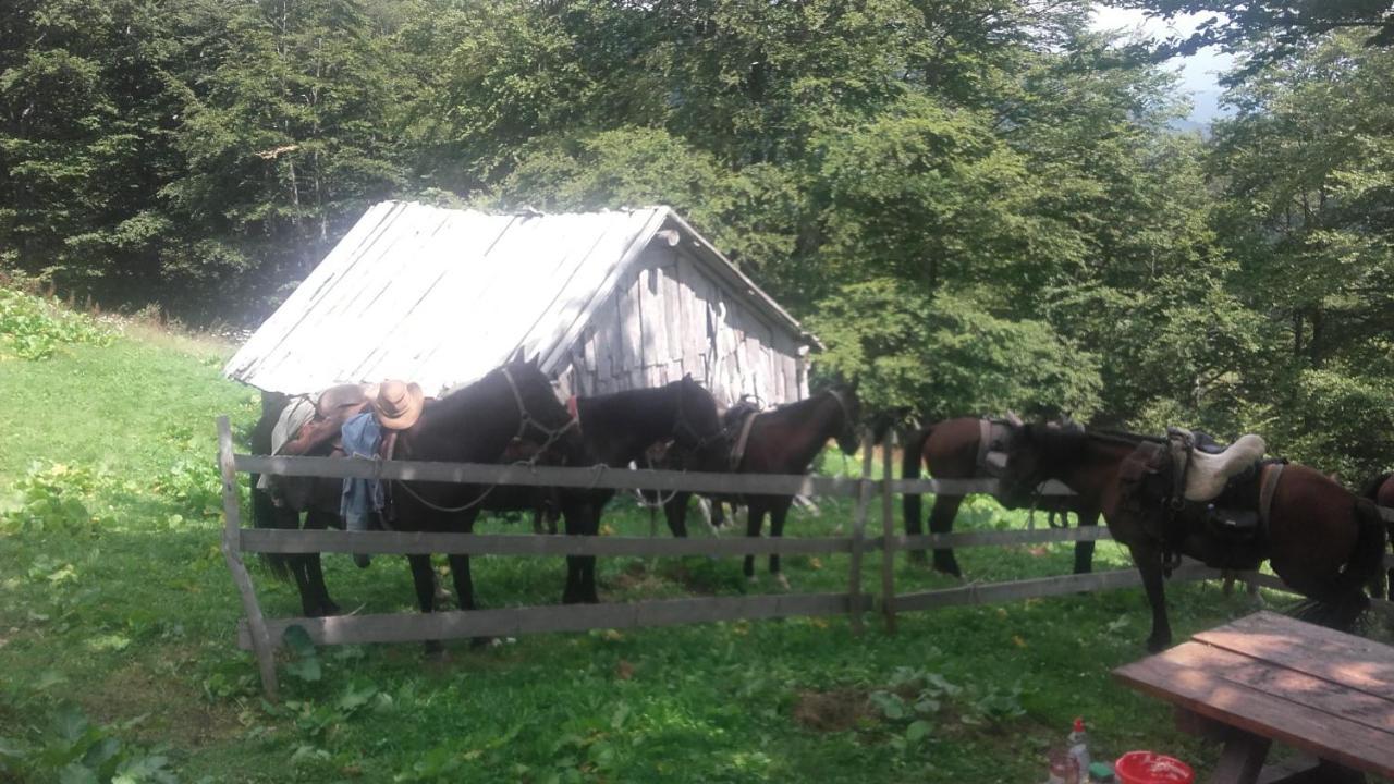 Rakovic Katun - Biogradska Gora Accomodation Villa Berane Luaran gambar